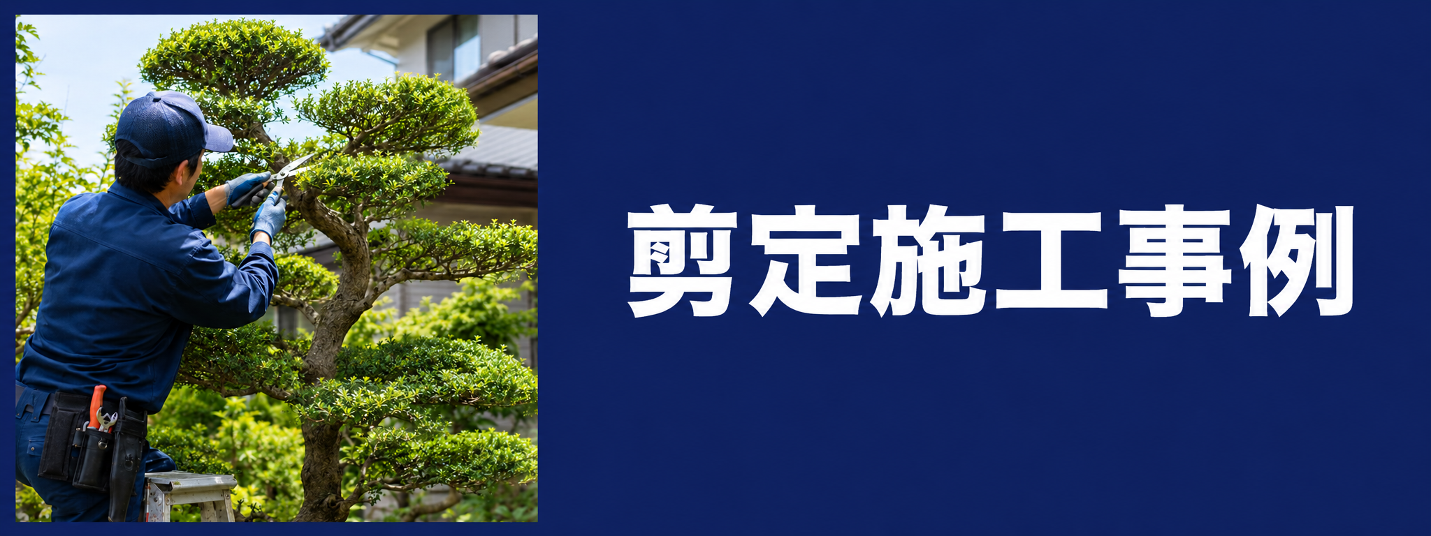 剪定施工事例
