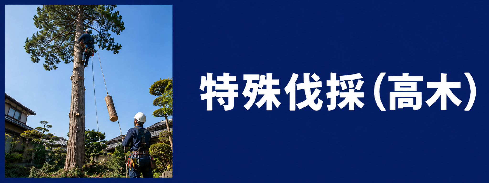 特殊伐採（高木）