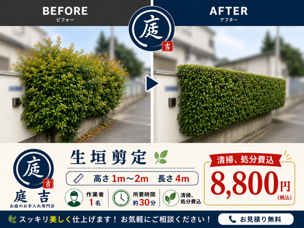 刈込剪定、生垣剪定、川口の植木屋『庭吉』