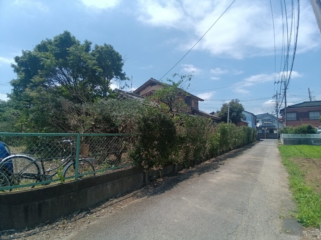 高木伐採、埼玉県三郷にて大量の伐採。